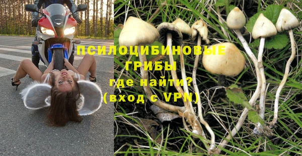 трава Алзамай